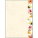 Carta fantasia Sigel DP788 gamma colori