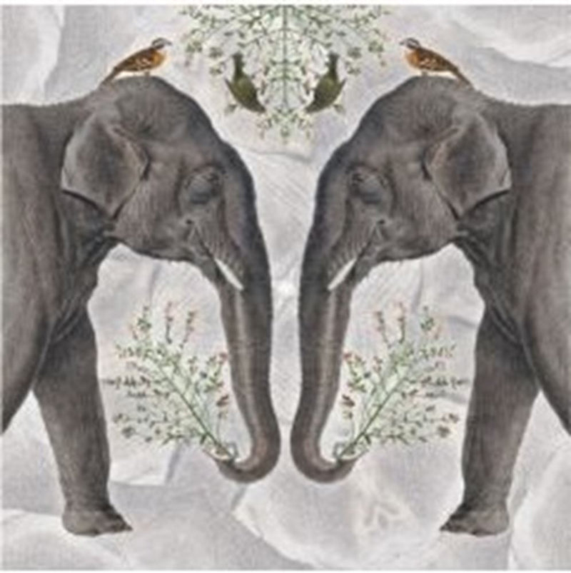 Tarjeta+sobre elefante indio. 16x16cm