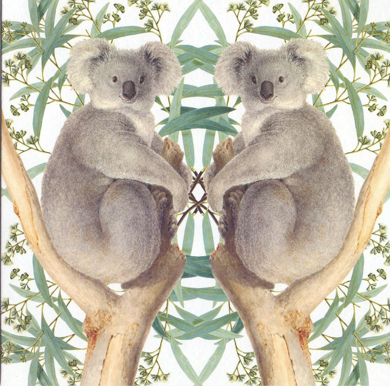 Biglietto+busta con orsetti koala. 16x16cm