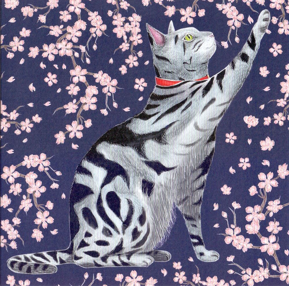 Carta+busta. gattino sakura. 16x16 cm