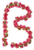 Garland de flores de albahaca - Flower Streng - Fucsia