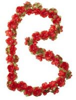 Garland de flores de albahaca - Flower Streng - Rojo