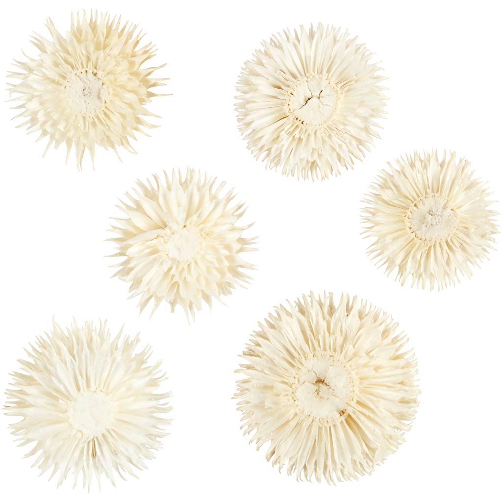 Creative Company Flowers secchi