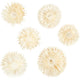 Creative Company Flowers secchi