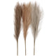 Creative Company Pampasgras Beige Brown Grey, 3st.