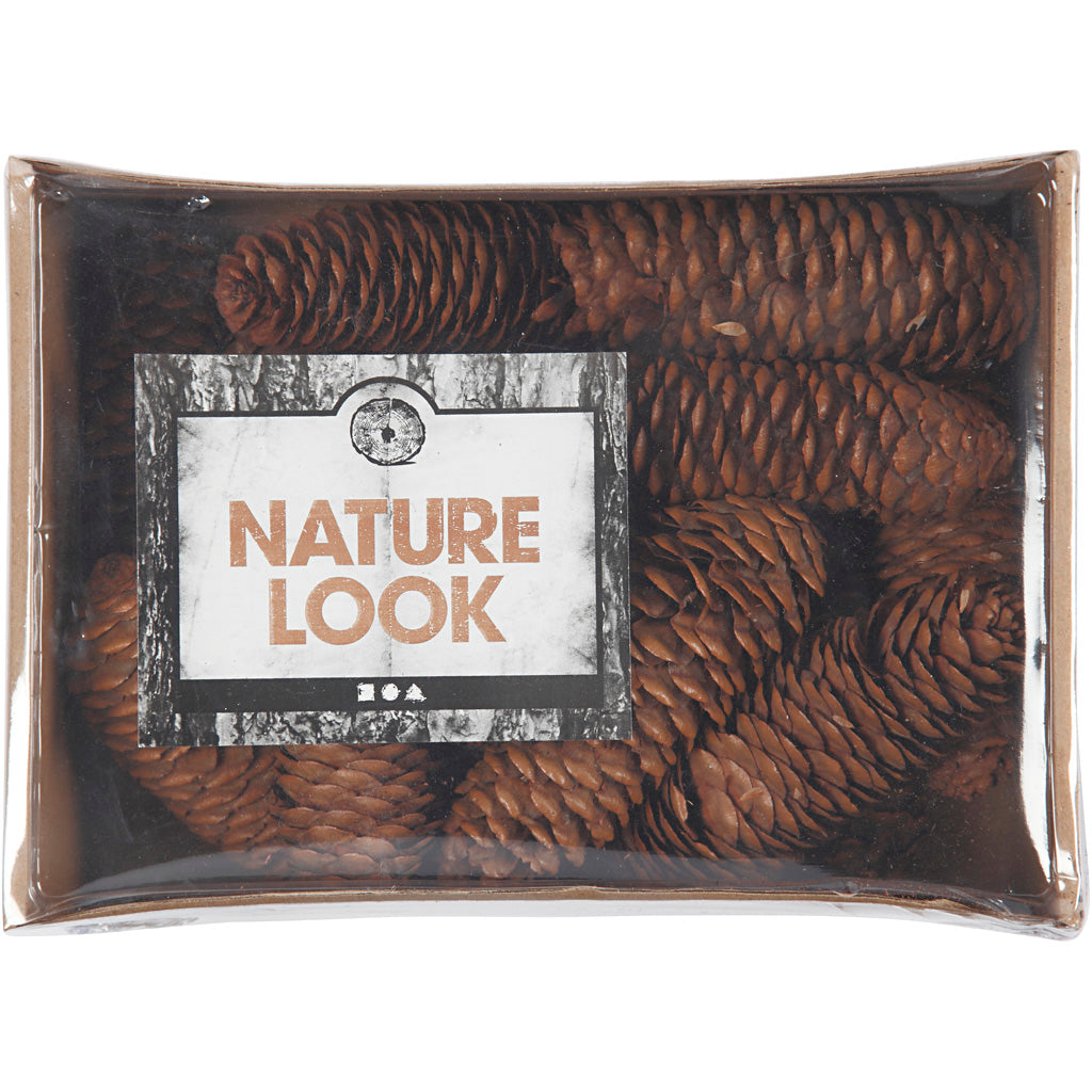 Creativ company cone pine cones, d 40 mm, approx. 14 pieces, 300 g 1 box
