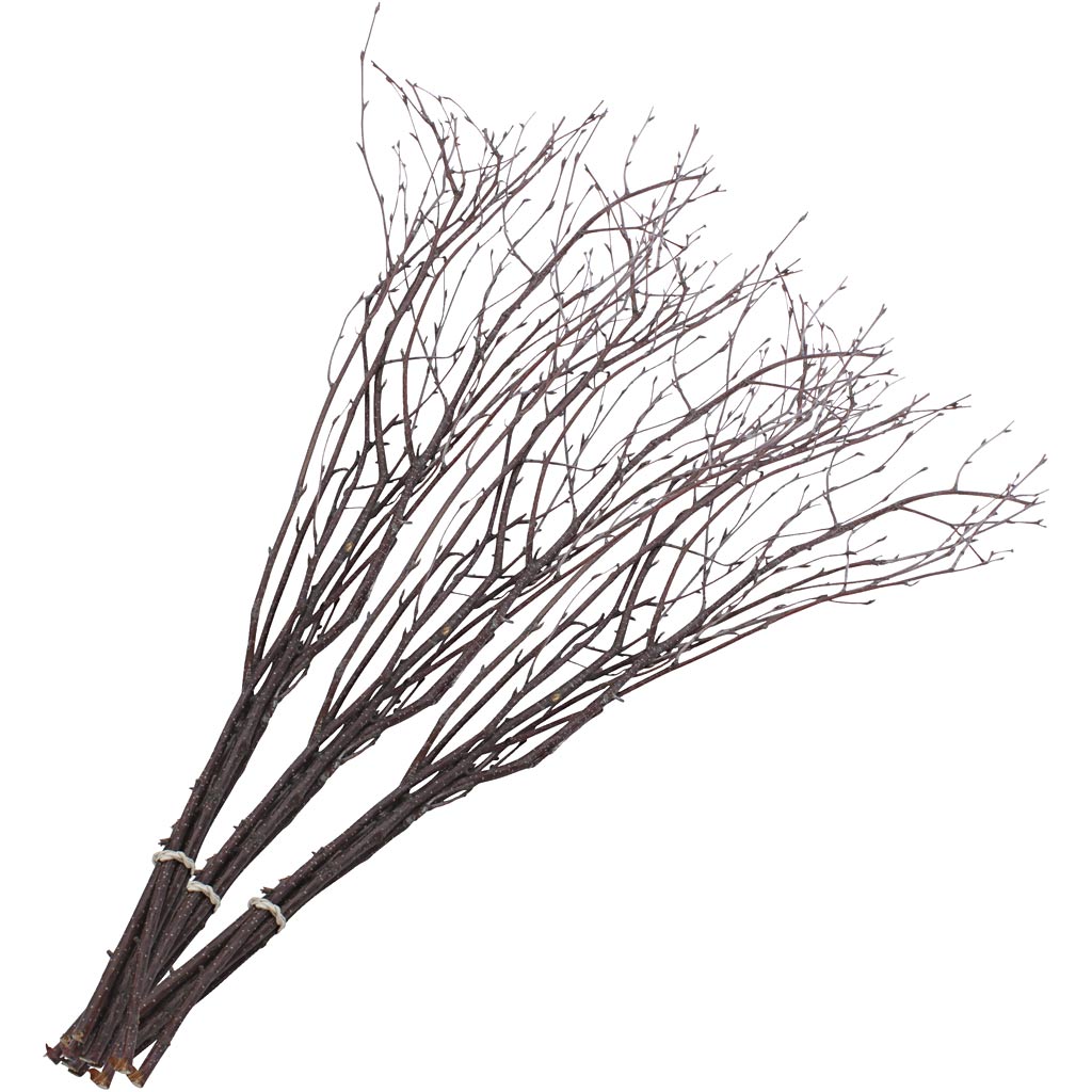 Https: www.cchobby.nl berkentakken-l-50-60-cm-20-stuk-1-doos