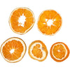 Creative Company Essicini pezzi di Orange, 5st.