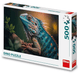 Puzzle di un iguana 500 pezzi