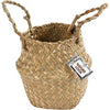 Cesta Creativ Company de algas marinas, h: 7 15 cm, f 16 cm, 1 unidad