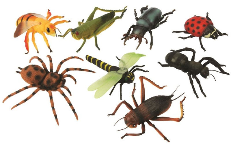 Insetti grandi, 12 assortiti. 15 cm. 3+