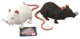 Stretch rat 18 cm. 2 assortie. 3+ - afbeelding 1