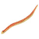 Serpiente de madera 30 cm. fsc. 3+