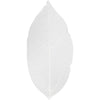 Foglie scheletro Creative Company, l: 6-8 cm, bianco, 20 pezzi 1 scatola