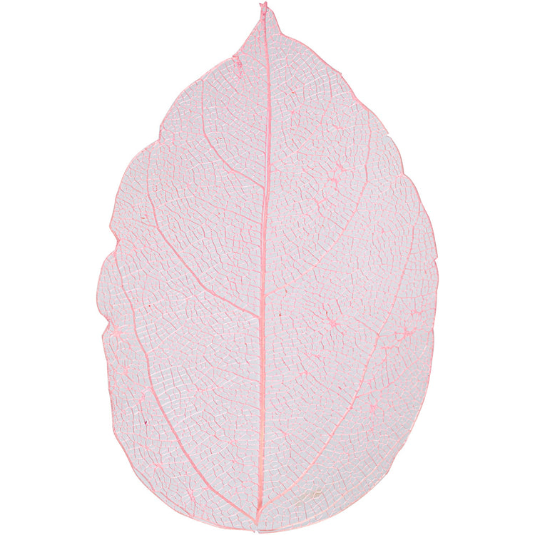 Foglie scheletro Creative Company, l: 6-8 cm, rosso chiaro, 20 pezzi 1 scatola