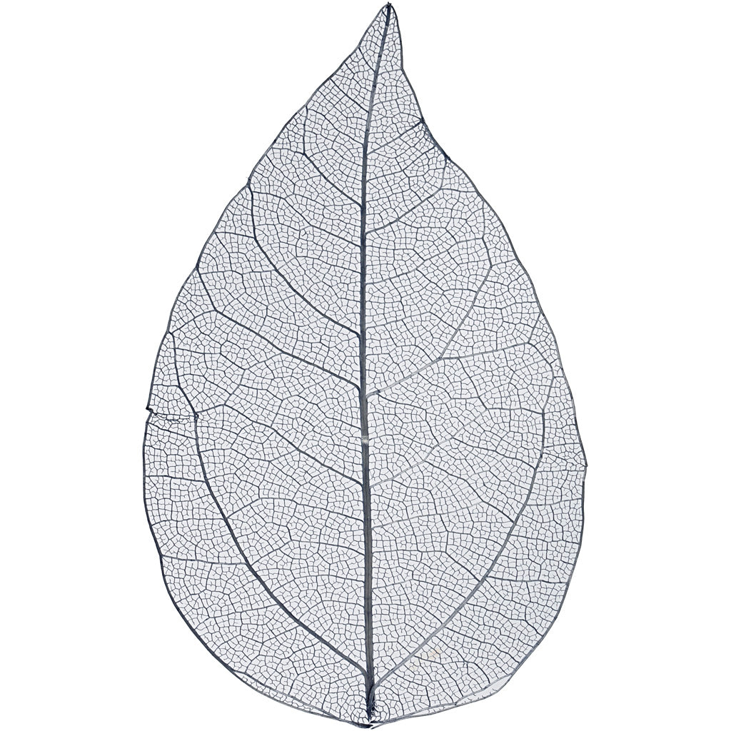 Foglie scheletro Creative Company, l: 6-8 cm, blu, 20 pezzi 1 scatola