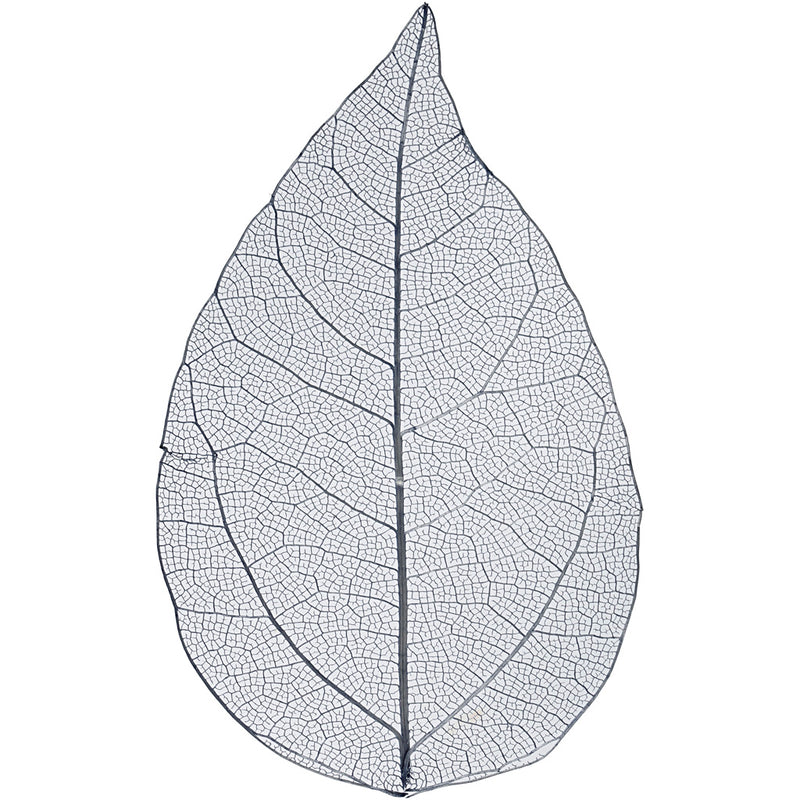 Foglie scheletro Creative Company, l: 6-8 cm, blu, 20 pezzi 1 scatola