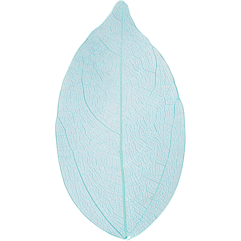 Foglie scheletro Creative Company, l: 6-8 cm, azzurro, 20 pezzi 1 scatola