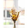 Dijk Natural Collection pacchetto cassetta delle lettere fiori secchi 36x3 cm