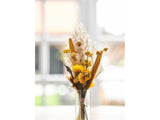 Dijk natural collections letterbox package dried flowers 36x3cm - afbeelding 1