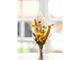 Dijk natural collections brievenbuspakket droogbloemen 36x3cm