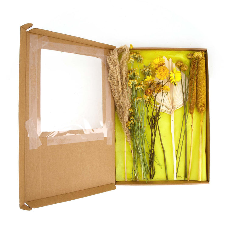 Dijk natural collections brievenbuspakket droogbloemen 36x3cm
