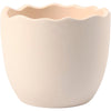 Https: www.cchobby.nl bloempot-h-6-3-cm-d-7-5-cm-wit-24-stuk-1-doos