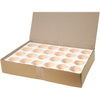 Http: www.cchobby.nl bloempot-h-6-3-cm-d-7-5-cm-wit-24-stuk-1-doos