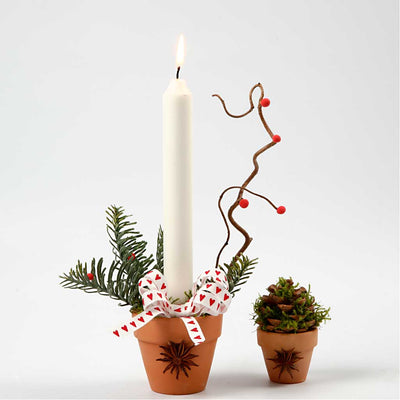 Https: www.cchobby.nl bloempot-h-6-5-cm-d-7-cm-24-stuk-1-doos
