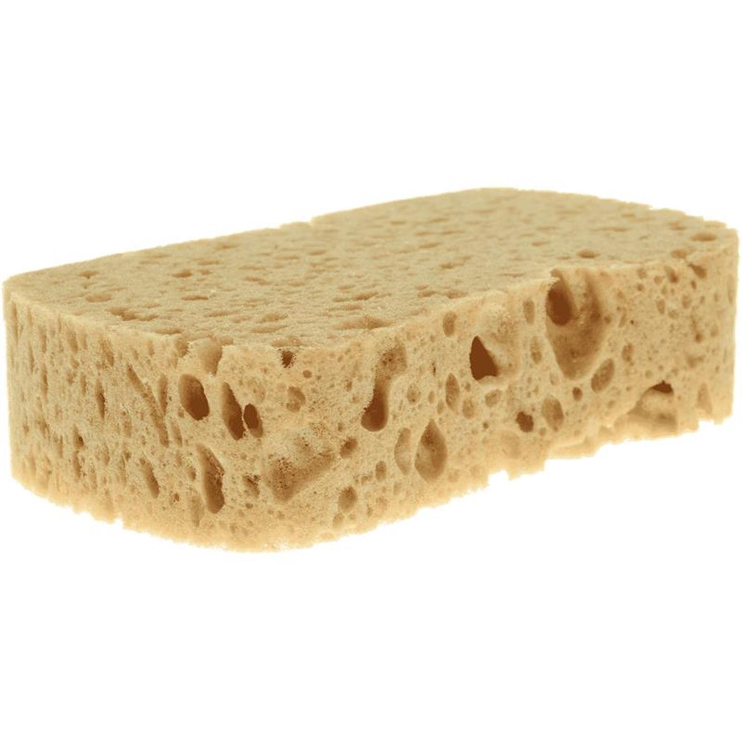 Sorbo lavoro spugna viscosa xl