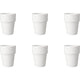 Vaso de leche de mamut Budgetline (6x 19cl)