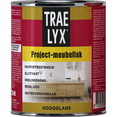 Trae-lyx 1074370 - tl prjct meubellak hgl 250 ml | 1 stuks