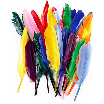 Piume Creative Company, l: 17-20 cm, 250 pezzi 1 scatola