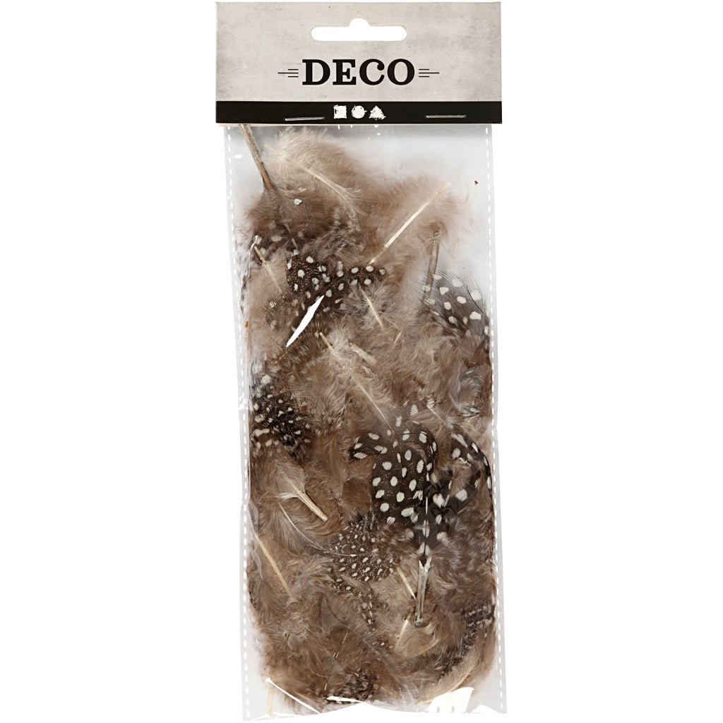 Piume di faraona Creative Company, ca. 100 pezzi, marrone, 3 g 1 scatola