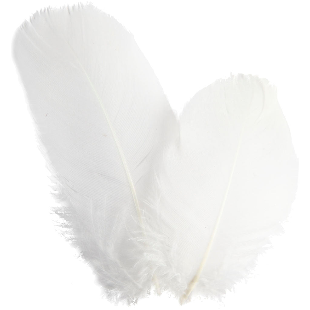 Piume d'oca Creative Company - rotonde, L: 5-8 cm, ca. 70 pezzi, bianco, 3 g 1 scatola