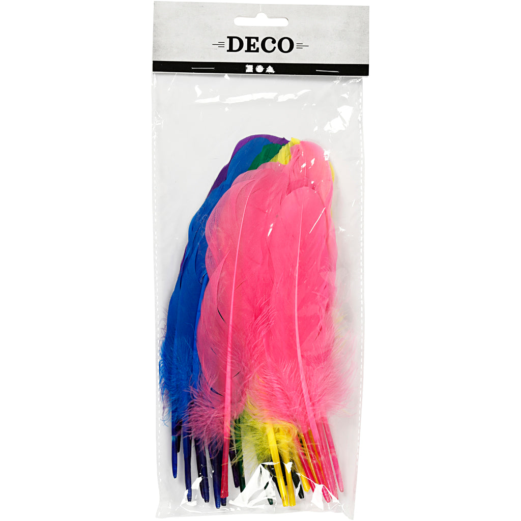 Piume Creative Company, l: 20 cm, vari colori, 36 pezzi 1 scatola