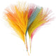 Creativ company artificial feathers, l: 15 cm, w: 8 cm, various colors, 10 pieces 1 box
