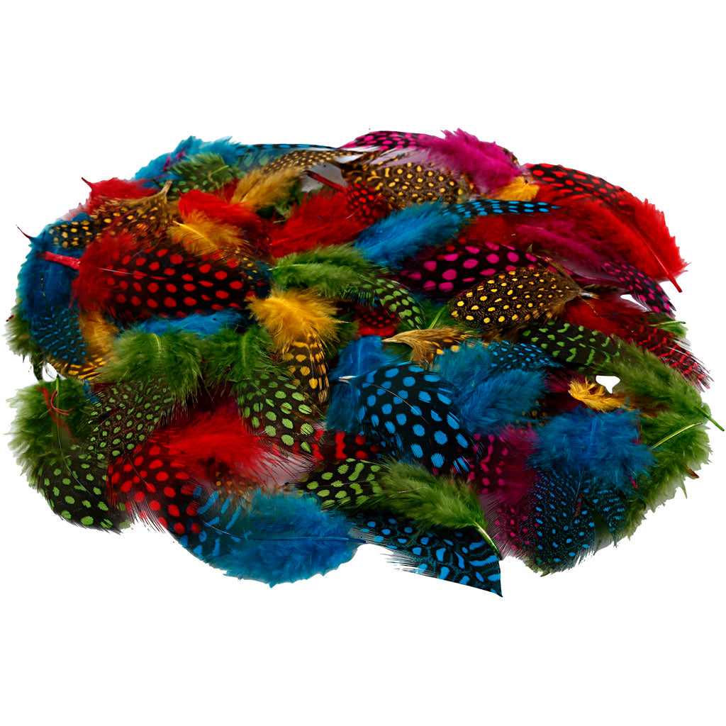 Piume di faraona Creative Company, ca. 1500 pezzi, vari colori, 50 gr 1 scatola