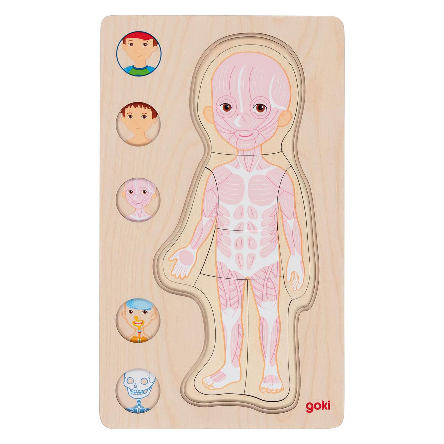 Goki Madera Capa Puzzle Human Body Boy, 29 °.