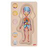 Goki Strato in legno Puzzle Girl Human Body, 29st.