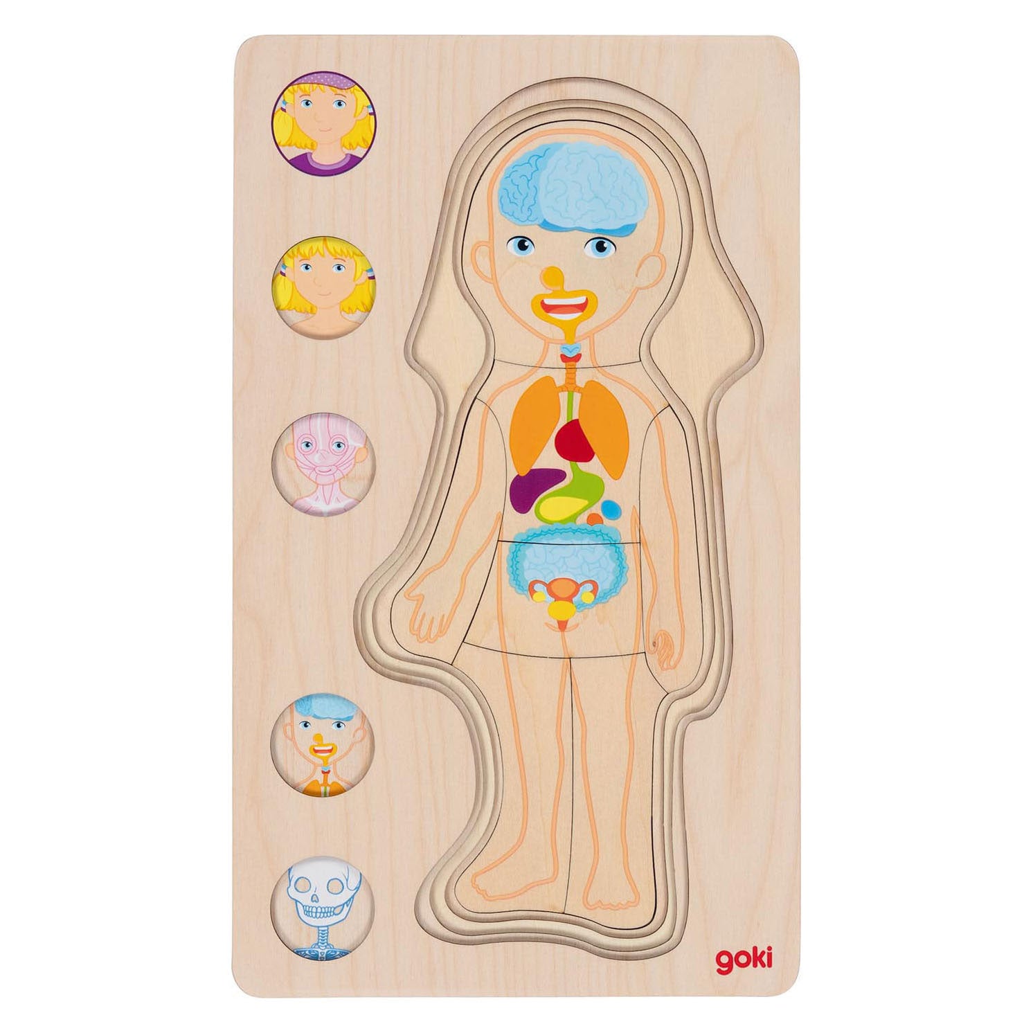 Goki Strato in legno Puzzle Girl Human Body, 29st.