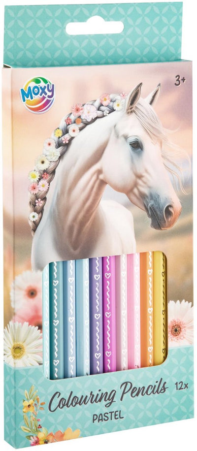 Creative craft group colored pencils pastel - 12 pcs.