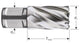 Rotec kernboor hss silver-line 40.0mm sl30 weldon