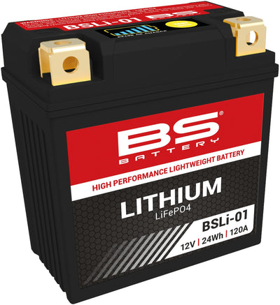 Batteria BS Batteria Li01 BS Litio