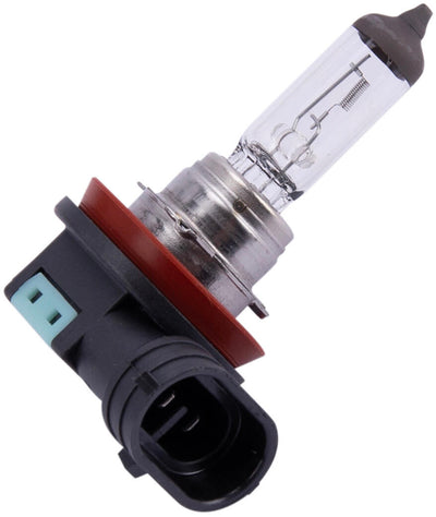 Spahn Headlight Bulb 12V 55W H11 PGJ19-2