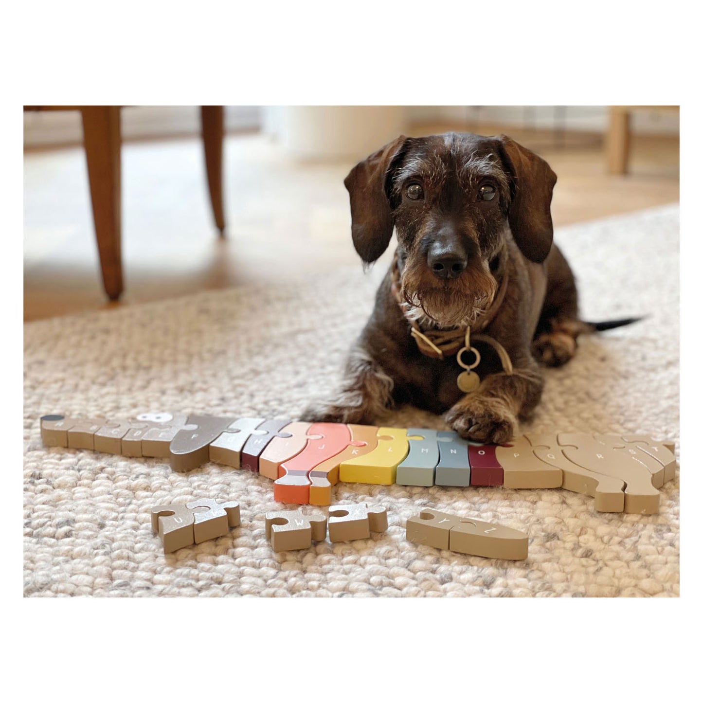 Small foot wooden literature form puzzle dog, 26st.