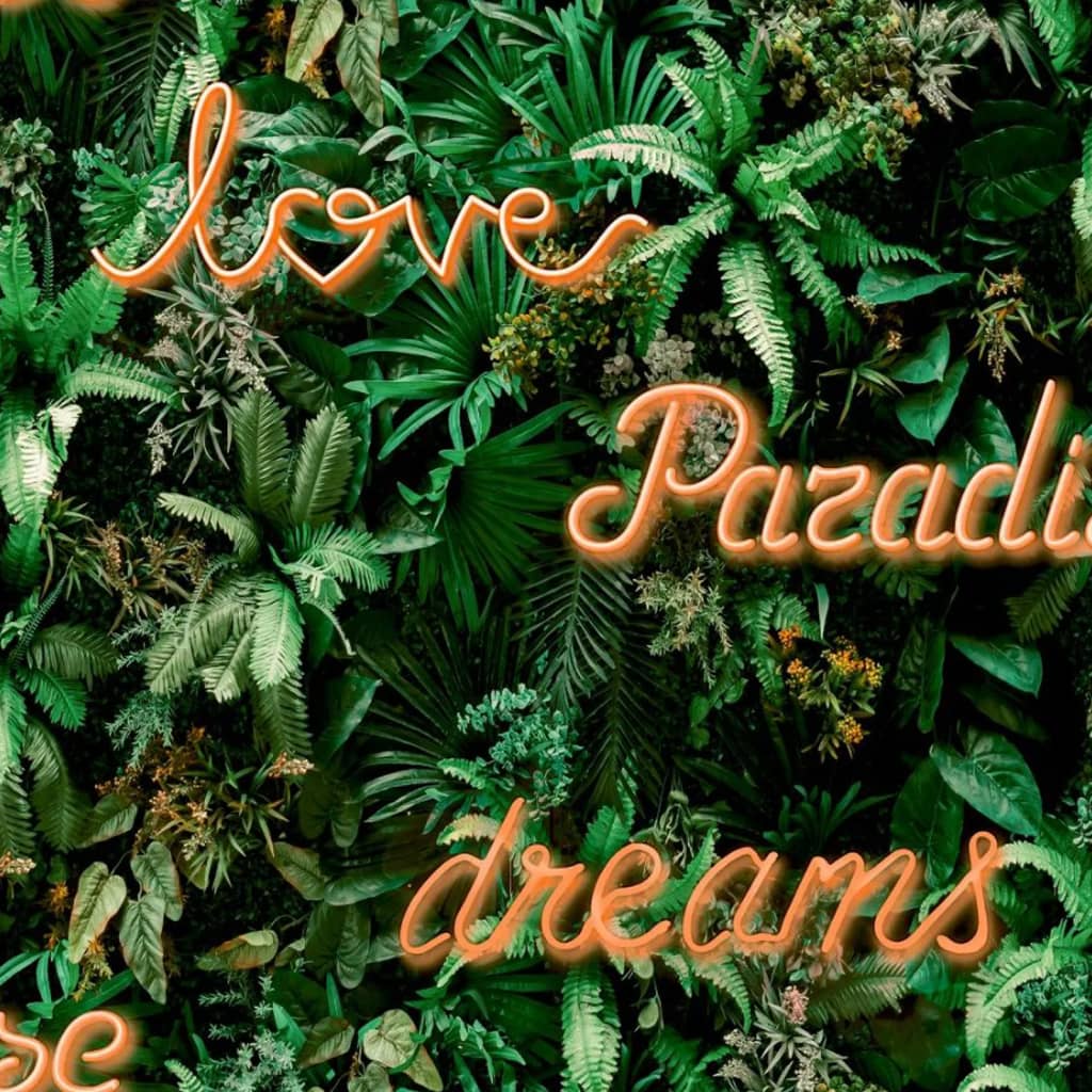 Wallpaper North Wall Noord Wallpaper Buona lettera neon con piante verdi e arancioni