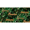 Wallpaper North Wall Noord Wallpaper Buona lettera neon con piante verdi e arancioni