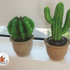 Lámpara Egmont cactus en macetero 27x16,5