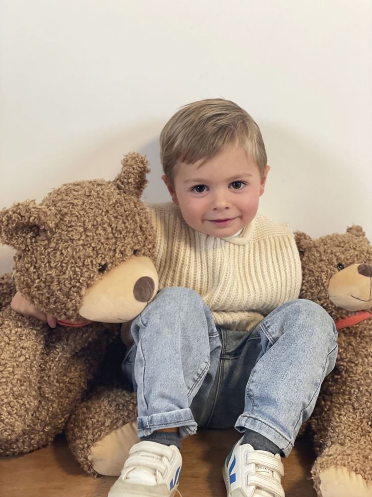 El osito de peluche Egmont Jules. 45cm. 0+